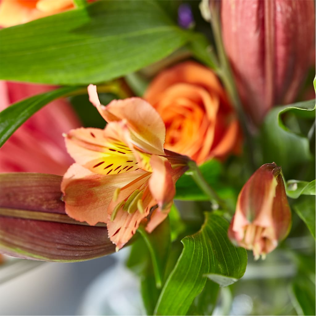 Bold & Bright – A Florist Original – ALISA'S UNIQUE DESIGNS, Spencer WV