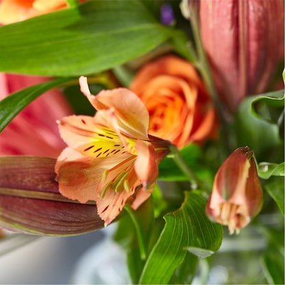 Bold & Bright – A Florist Original – ALISA'S UNIQUE DESIGNS, Spencer WV