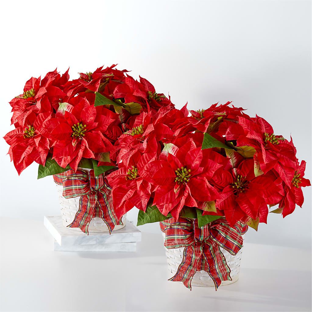 Happiest Holidays Poinsettia Bundle – ALISA'S UNIQUE DESIGNS, Spencer WV