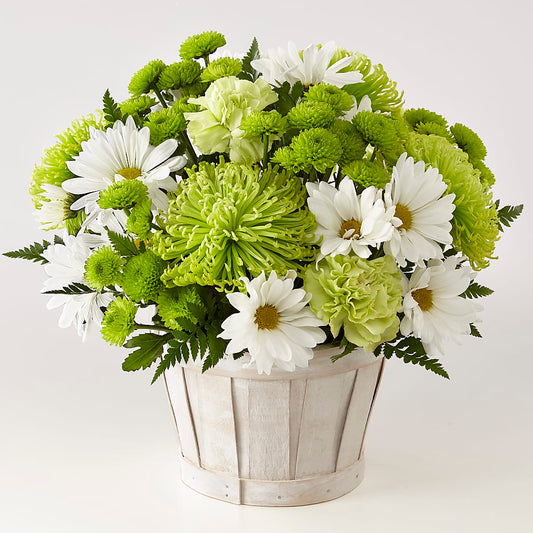Lucky Charm Basket (Standard) – ALISA'S UNIQUE DESIGNS, Spencer WV