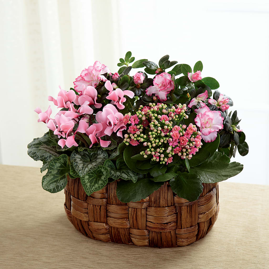 Pink Assortment – ALISA'S UNIQUE DESIGNS, Spencer WV
