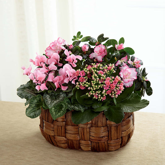 Pink Assortment – ALISA'S UNIQUE DESIGNS, Spencer WV