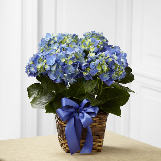 Blue Hydrangea Planter – ALISA'S UNIQUE DESIGNS, Spencer WV