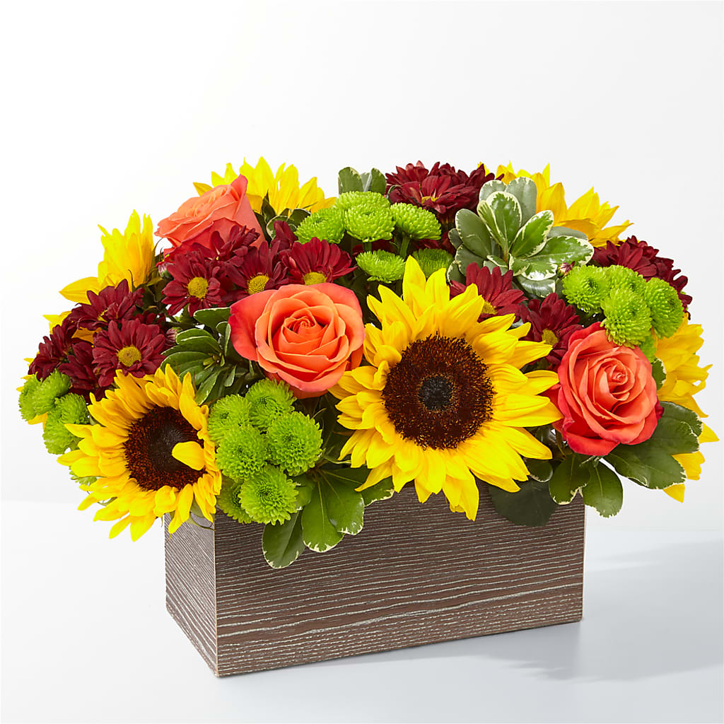 Happy Harvest Garden – ALISA'S UNIQUE DESIGNS, Spencer WV