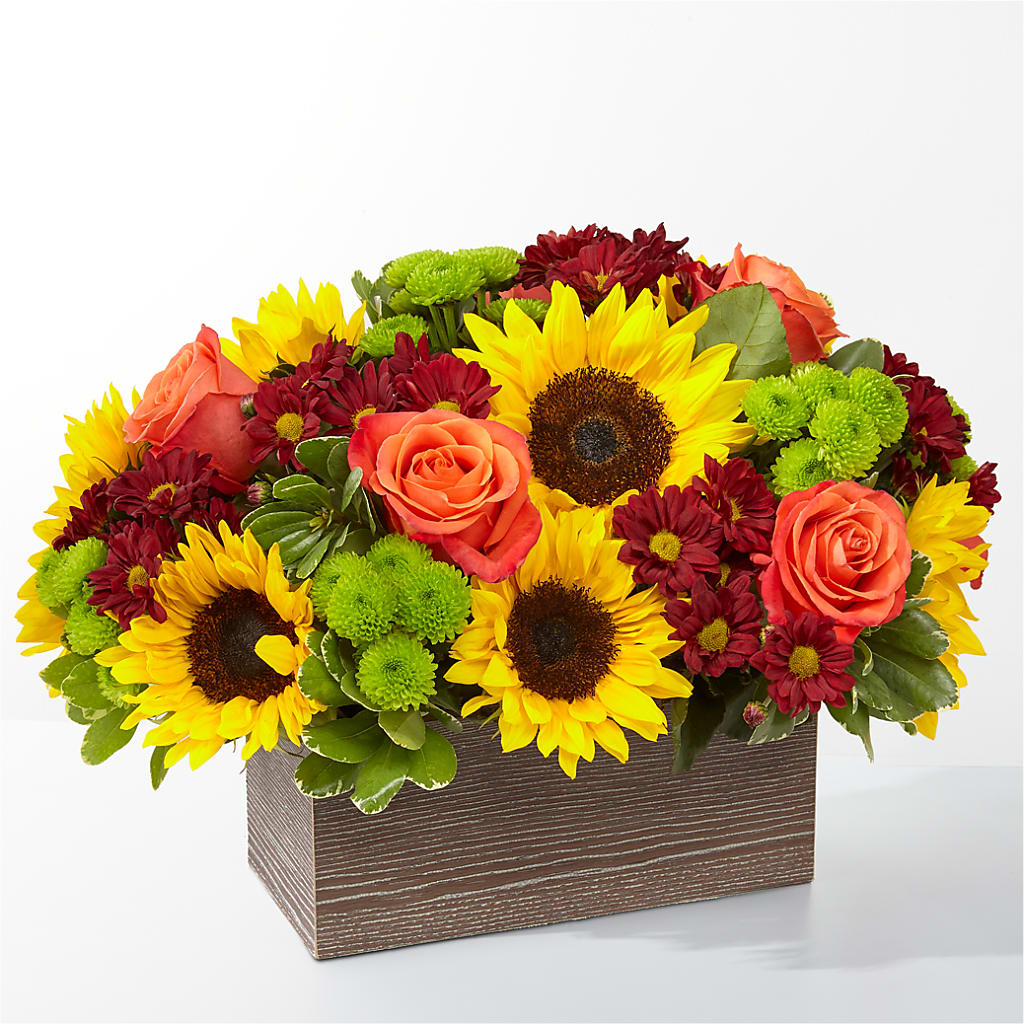 Happy Harvest Garden – ALISA'S UNIQUE DESIGNS, Spencer WV