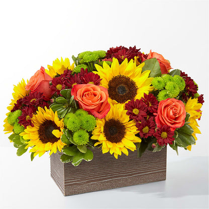 Happy Harvest Garden – ALISA'S UNIQUE DESIGNS, Spencer WV