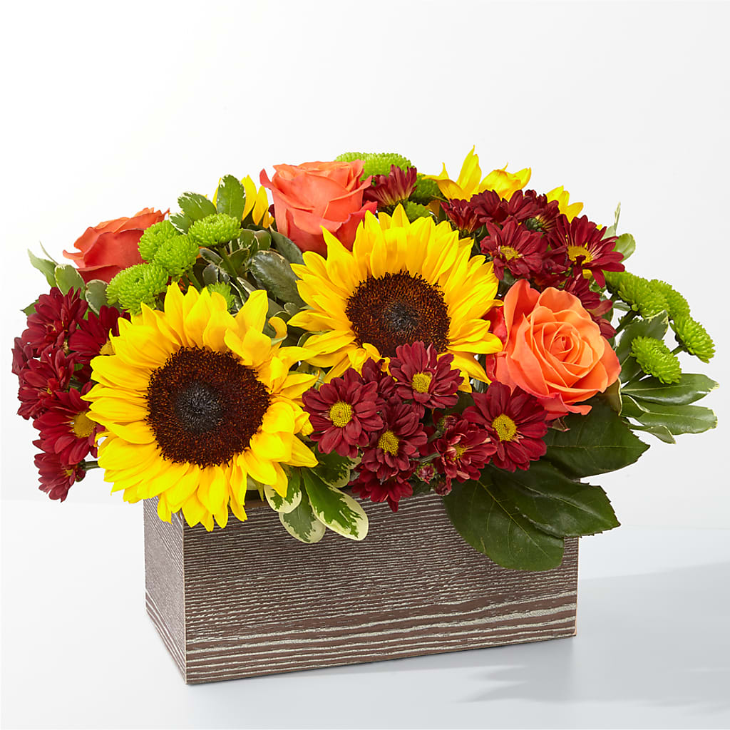 Happy Harvest Garden – ALISA'S UNIQUE DESIGNS, Spencer WV