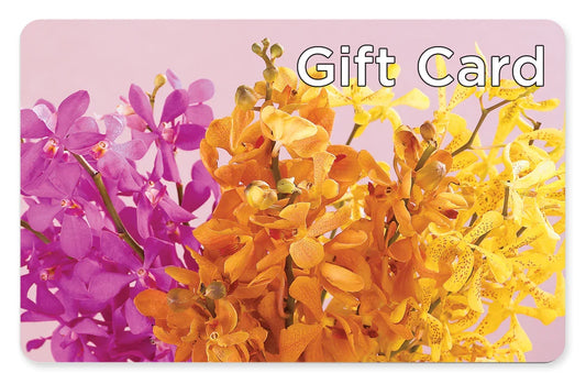 Gift Card – ALISA'S UNIQUE DESIGNS, Spencer WV