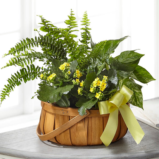 Always Dear Dishgarden – ALISA'S UNIQUE DESIGNS, Spencer WV
