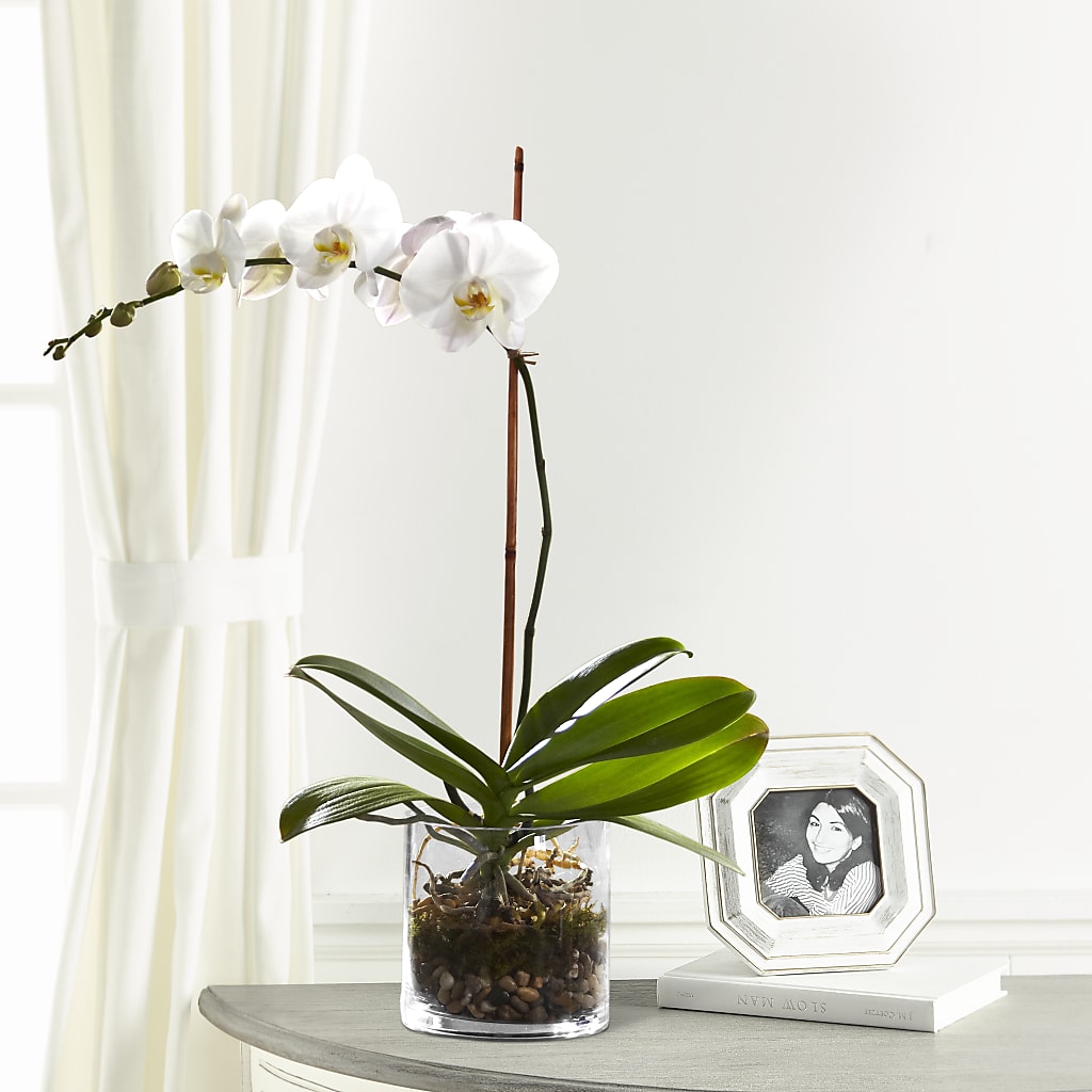 White Orchid Planter – ALISA'S UNIQUE DESIGNS, Spencer WV