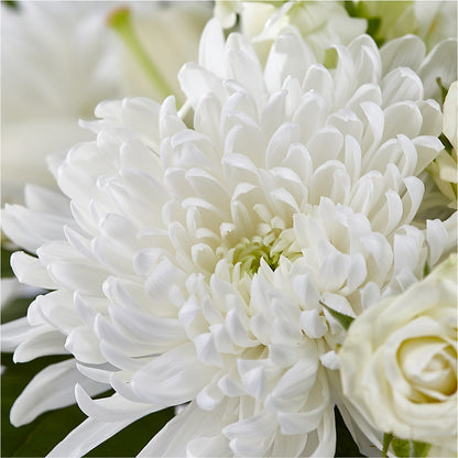 Classic Ivory – A Florist Original – ALISA'S UNIQUE DESIGNS, Spencer WV