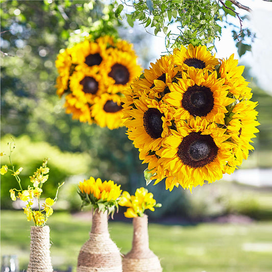 Sublime Garden Hanging Arrangement – ALISA'S UNIQUE DESIGNS, Spencer WV