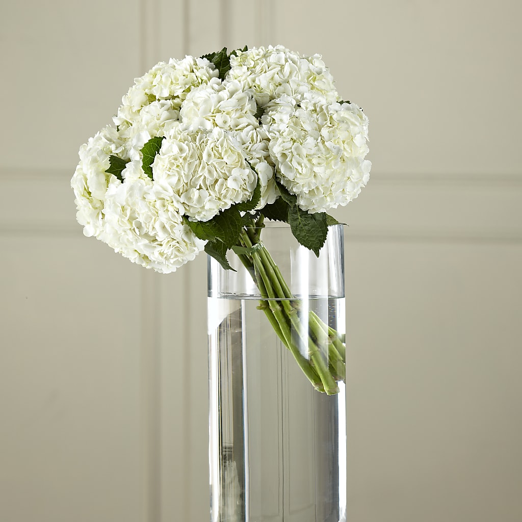 White Hydrangea Hand-Tied Bouquet – ALISA'S UNIQUE DESIGNS, Spencer WV