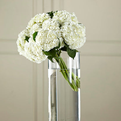White Hydrangea Hand-Tied Bouquet – ALISA'S UNIQUE DESIGNS, Spencer WV