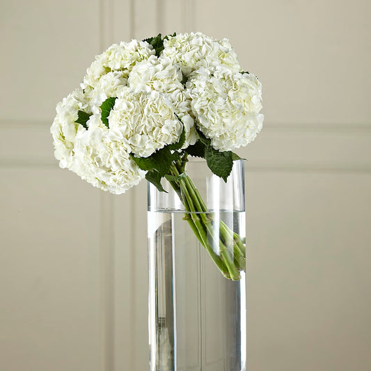 White Hydrangea Hand-Tied Bouquet – ALISA'S UNIQUE DESIGNS, Spencer WV