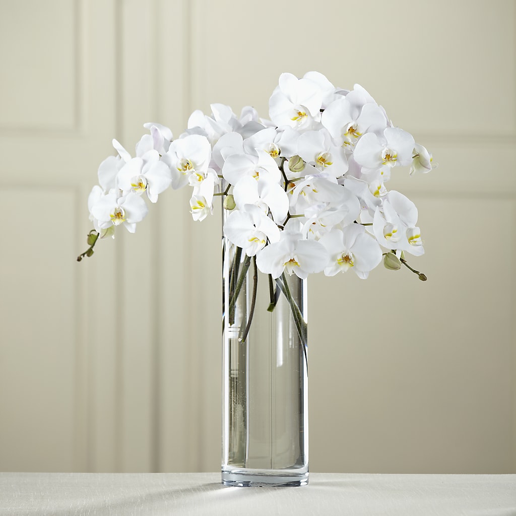 White Phalaenopsis Bouquet – ALISA'S UNIQUE DESIGNS, Spencer WV