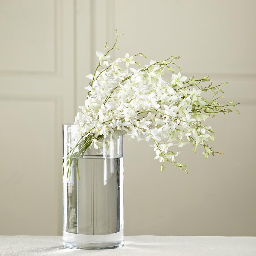 White Dendrobium Bouquet – ALISA'S UNIQUE DESIGNS, Spencer WV